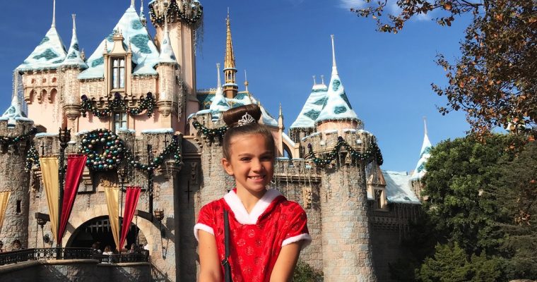 Disneyland Day Plan