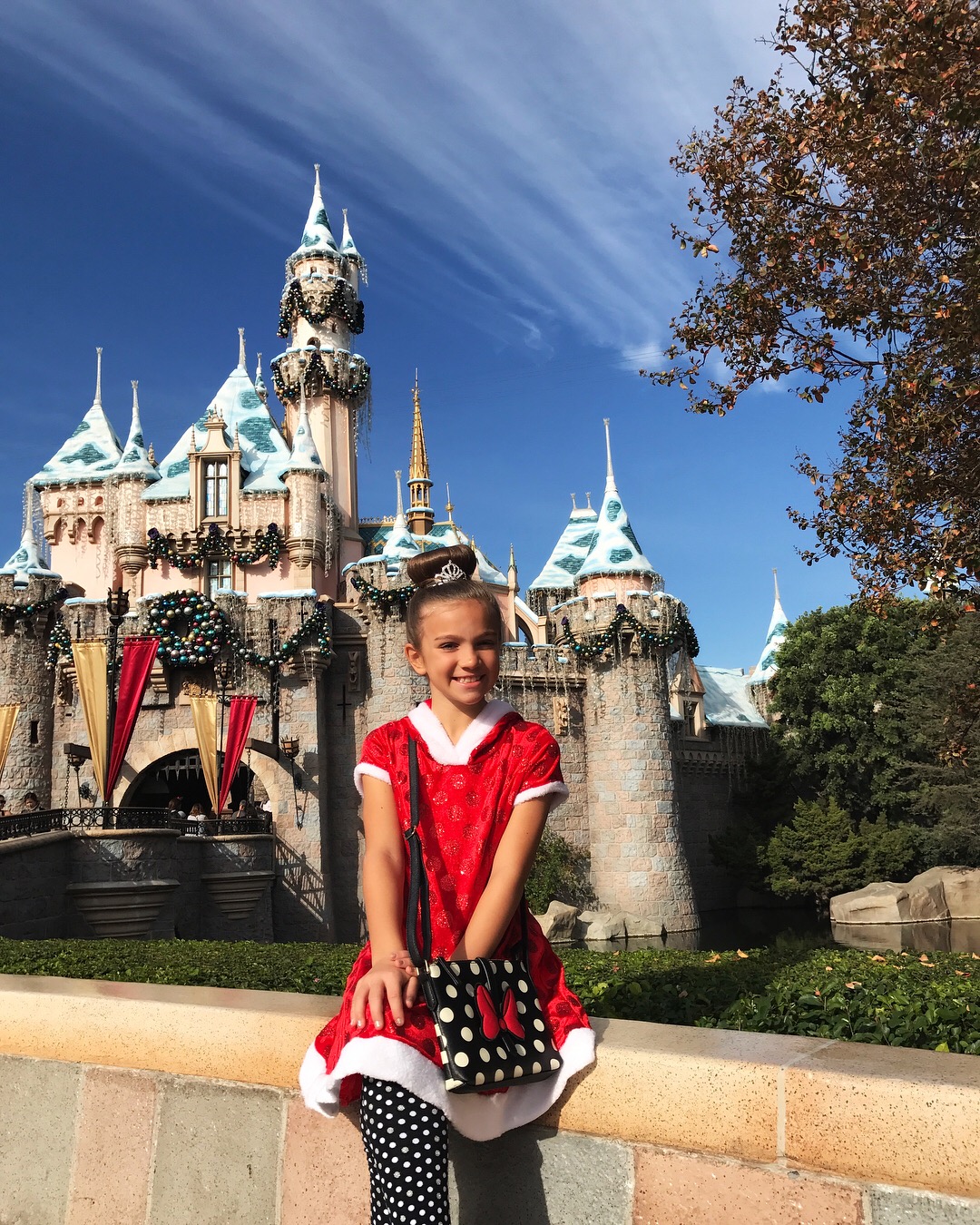 Disneyland Day Plan